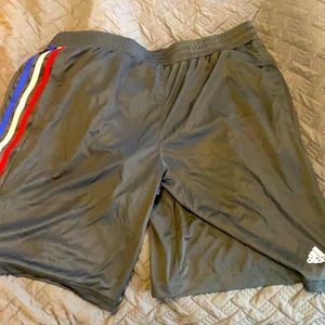 Adidas gray shorts
